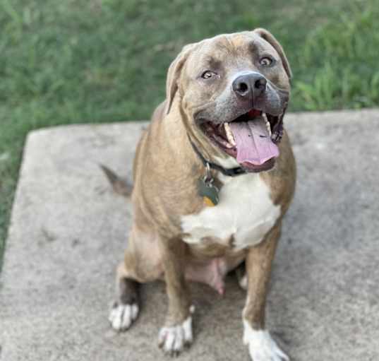Photo of Blue