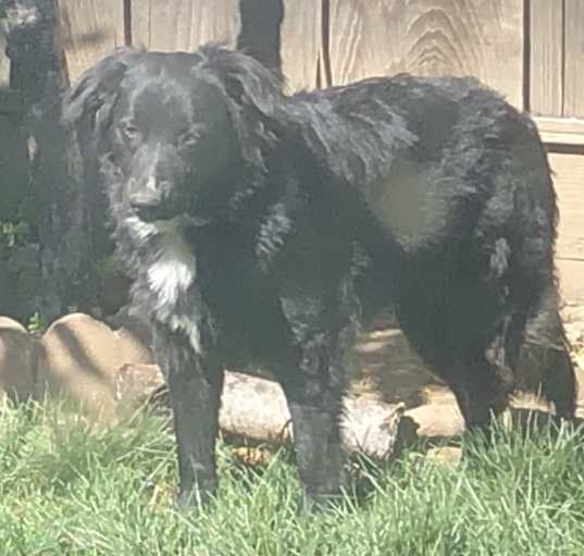 Photo of Xena