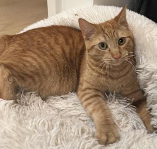 Photo of Vincent