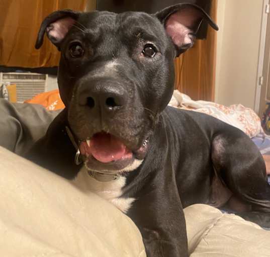 Photo of Lefty