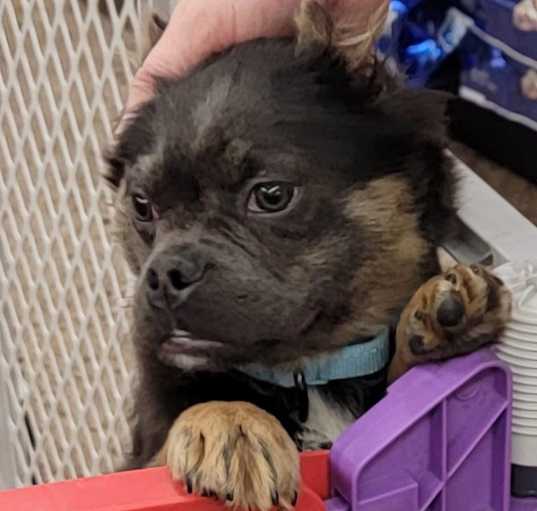 Photo of Kylo