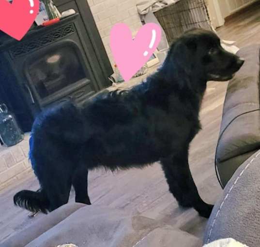 Photo of Echo