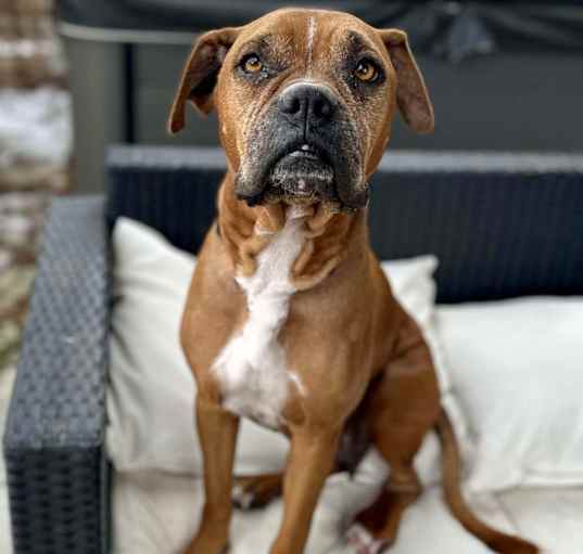 Photo of Raisin