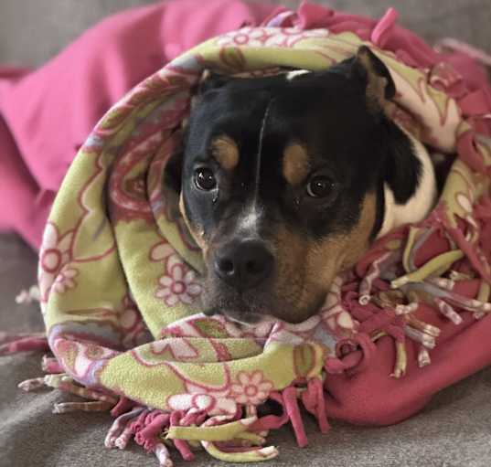 Photo of LUNA