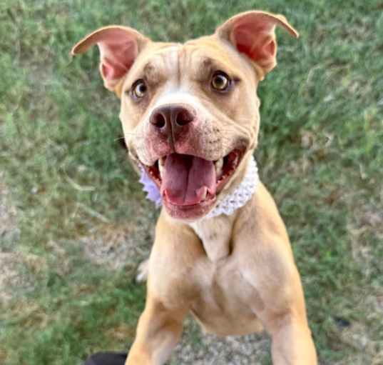 Photo of Starla