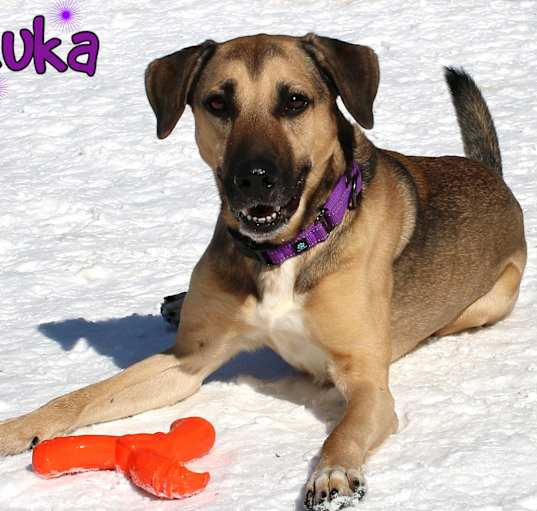 Photo of Luka