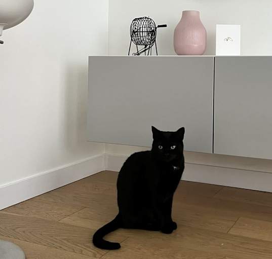 Photo of Luna
