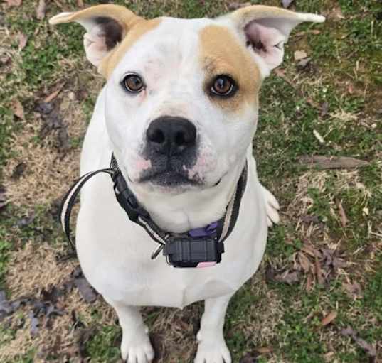 Photo of Annie