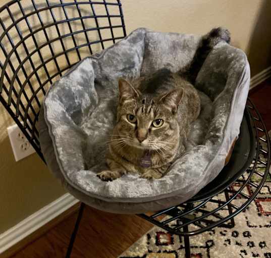 Photo of Charlie