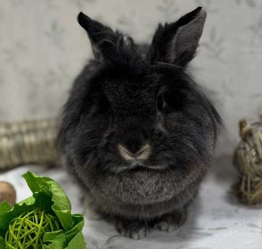 Photo of Tina