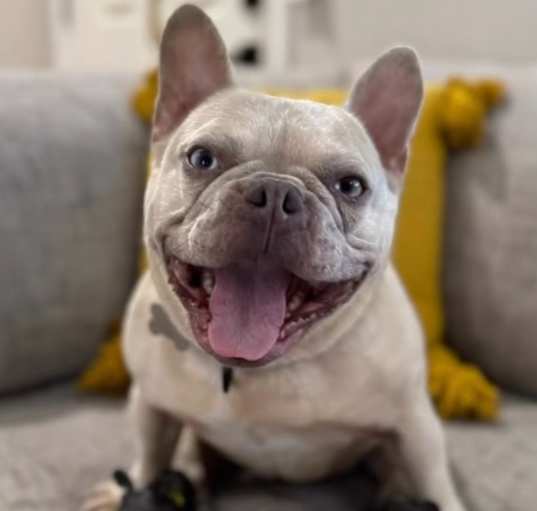 Photo of Pierre