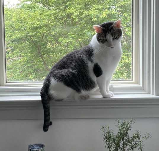 Photo of Fred