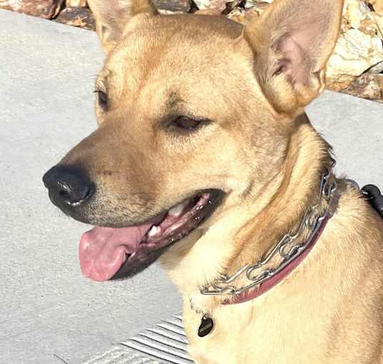 Photo of Maggie