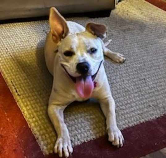 Photo of Nalla