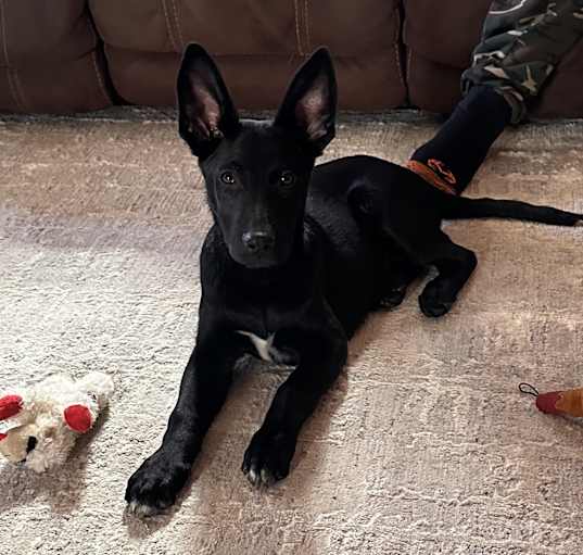 Photo of Astro
