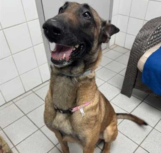 Photo of WAFFLE