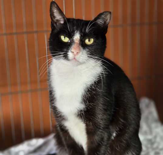 Photo of Meredith