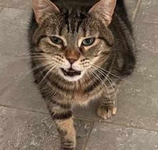 Photo of Matilda