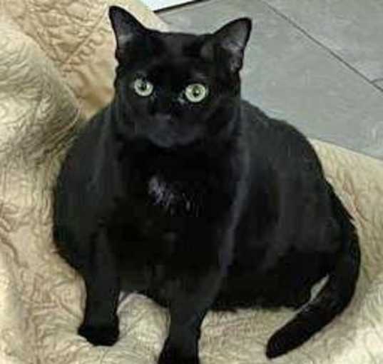 Photo of Talia