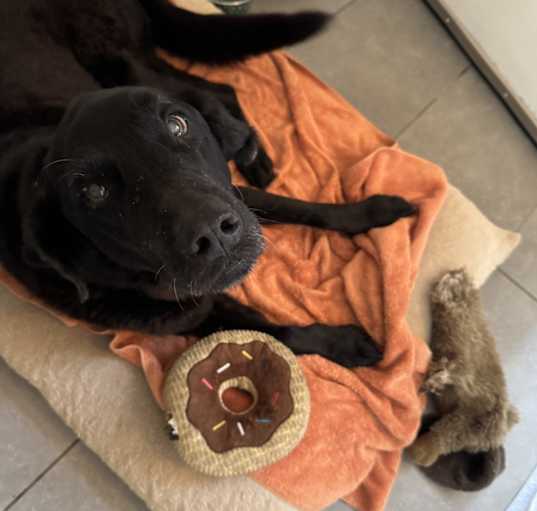 Photo of Molly