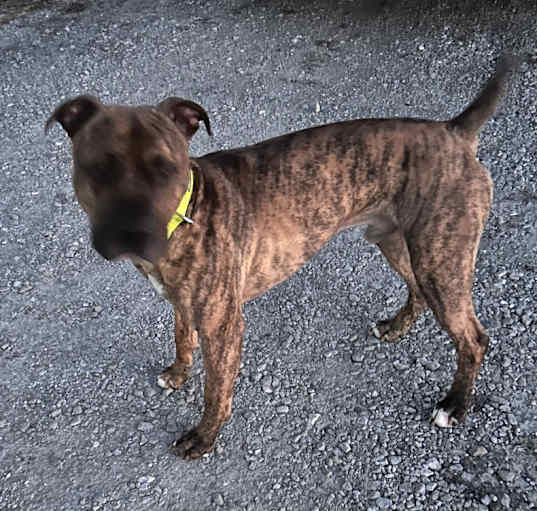 Photo of Titus