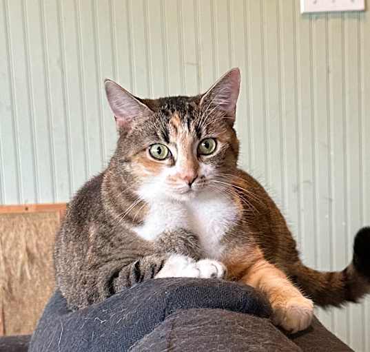 Photo of FRANNIE