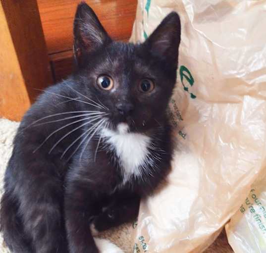 Photo of Lilly