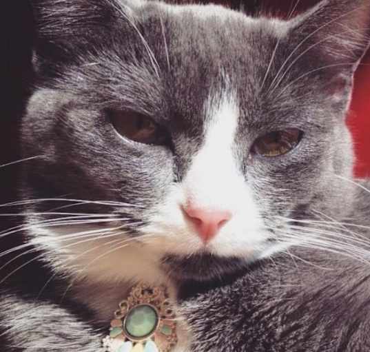 Photo of Vetra