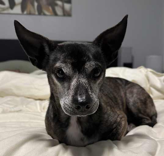 Photo of Victor