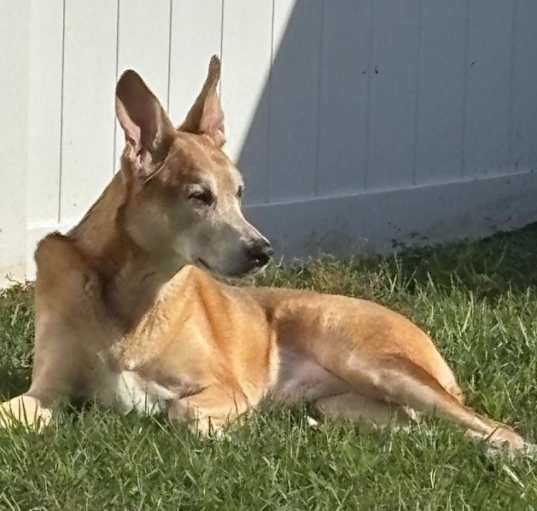 Photo of Sol