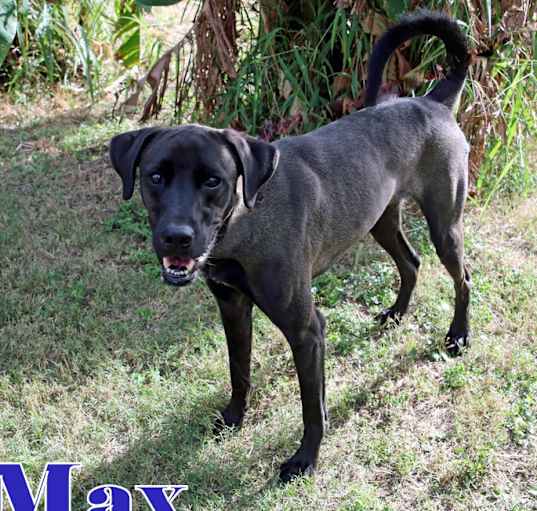 Photo of MAX