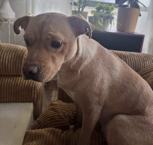 Photo of Sunny