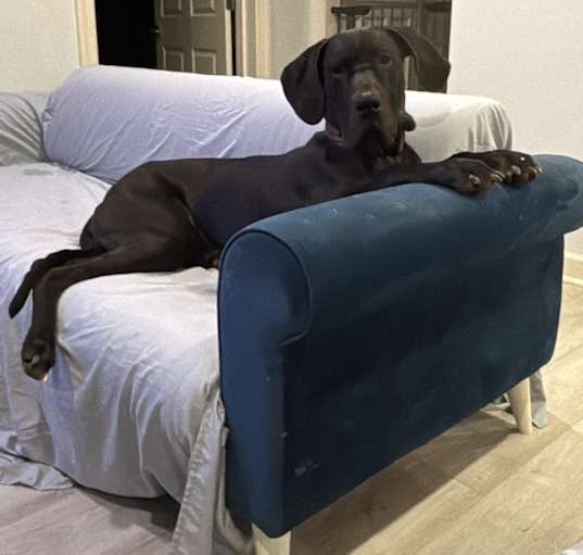 Photo of Atlas