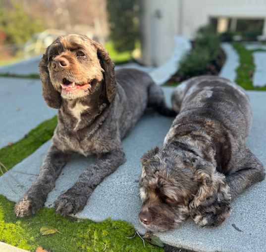 Photo of Roland and Leo