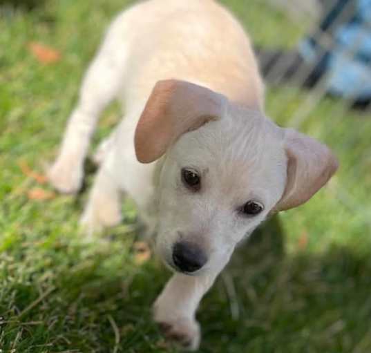 Photo of Bonnie (#2)