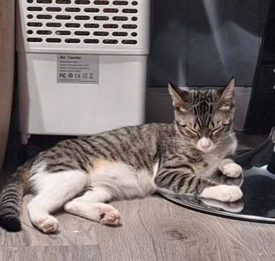 Photo of Cigarette (Mama)