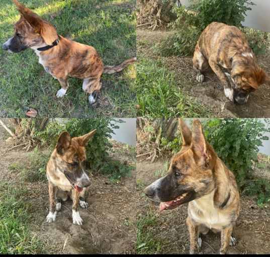 Photo of Osa