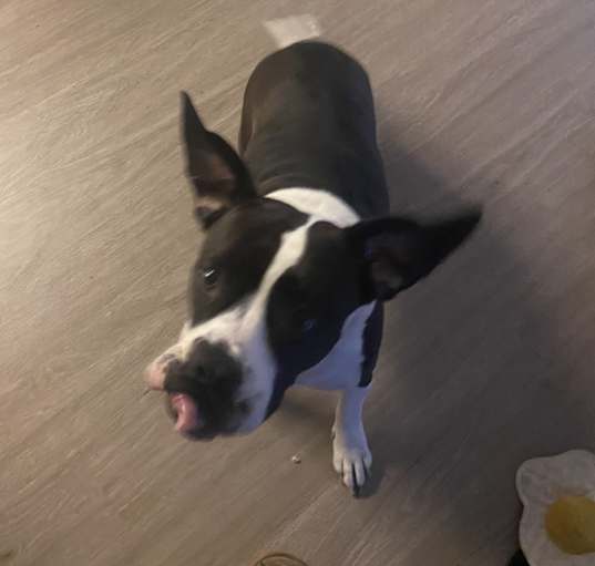 Photo of Molly