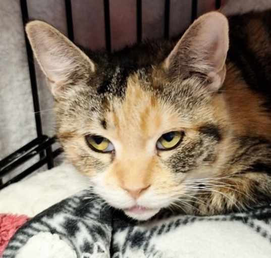 Photo of Ivy