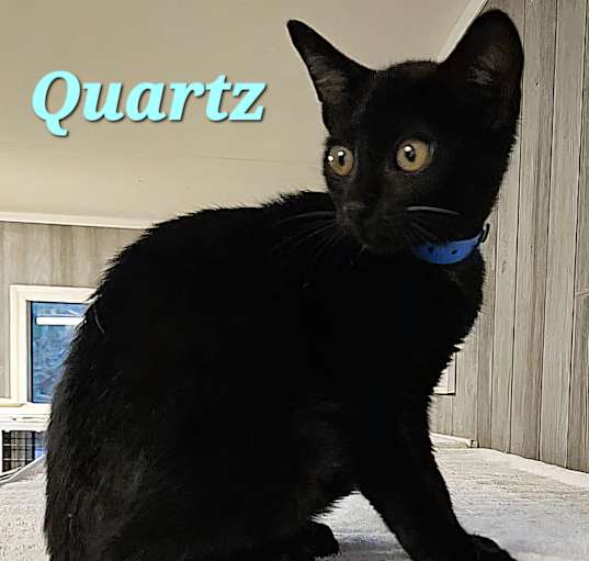 Photo of Quartz
