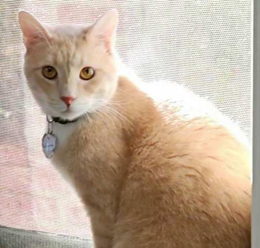 Photo of Winslow