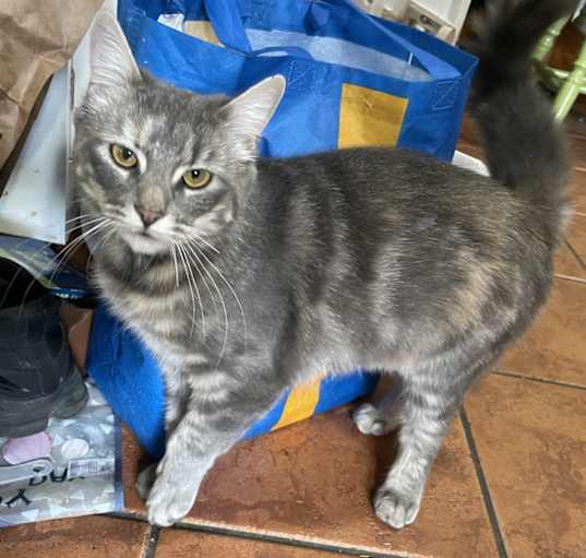 Photo of Abby