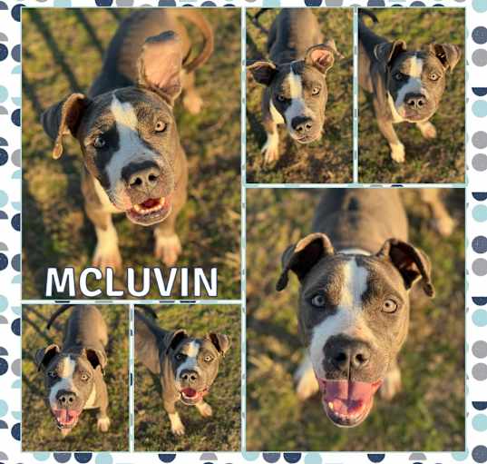 Photo of McLuvin