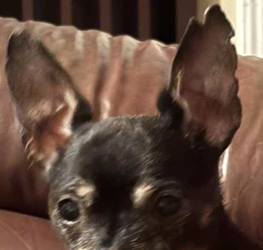 Photo of Theo