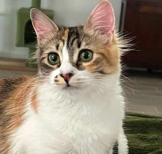 Photo of Mimzy