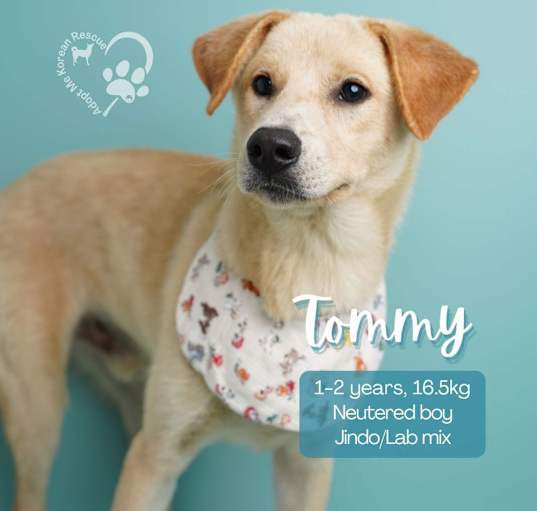 Photo of Tommy