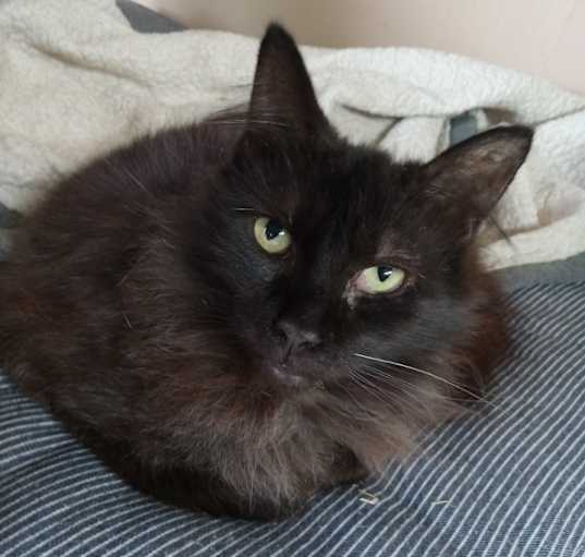 Photo of Mama Xena