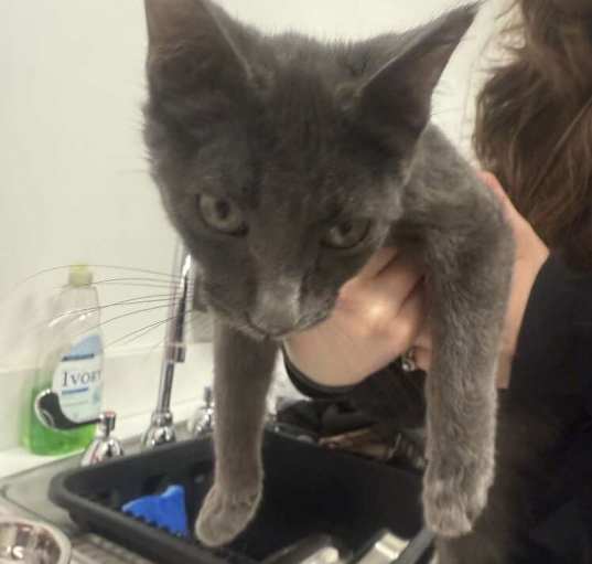 Photo of Sterling