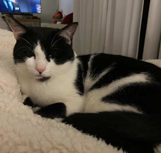 Photo of Eddie