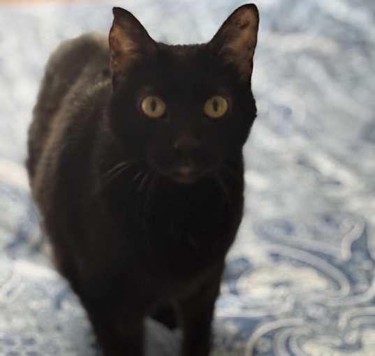 Photo of Bugger